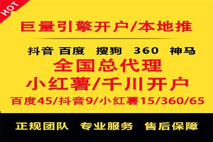解析某某SEM服务公司的广告投放策略与效果评估